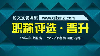 我國(guó)專利的分類體系與技術(shù)服務(wù)解析